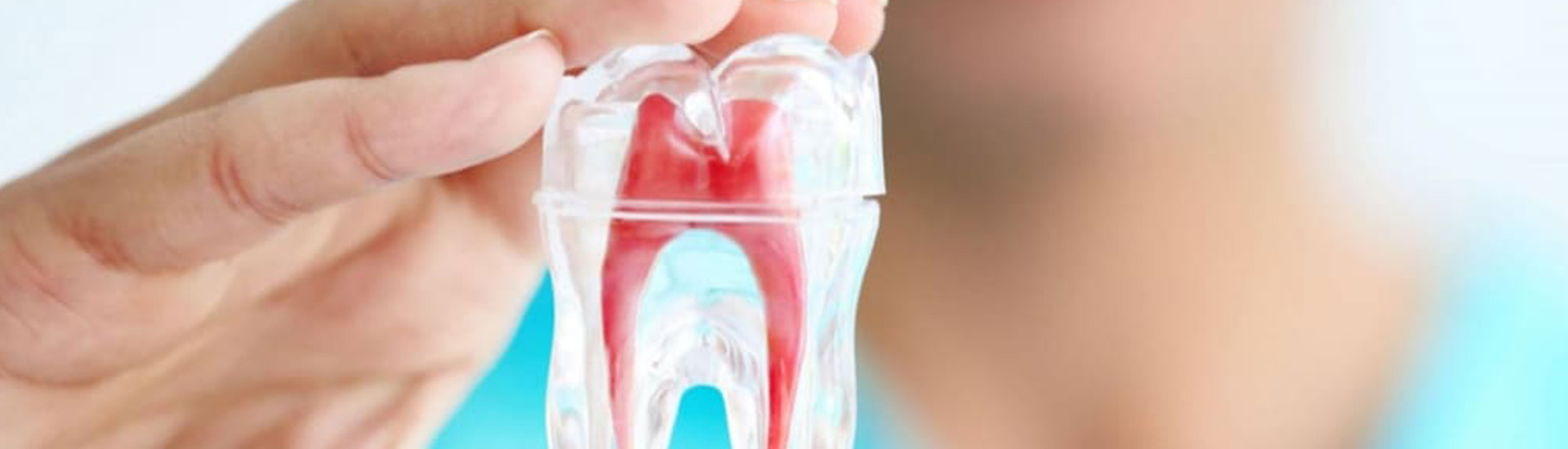 odontoiatria e endodonzia s-medical sora