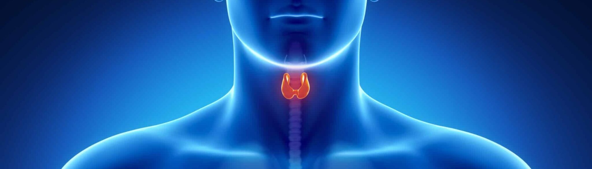 Tiroide S-medical di Sora