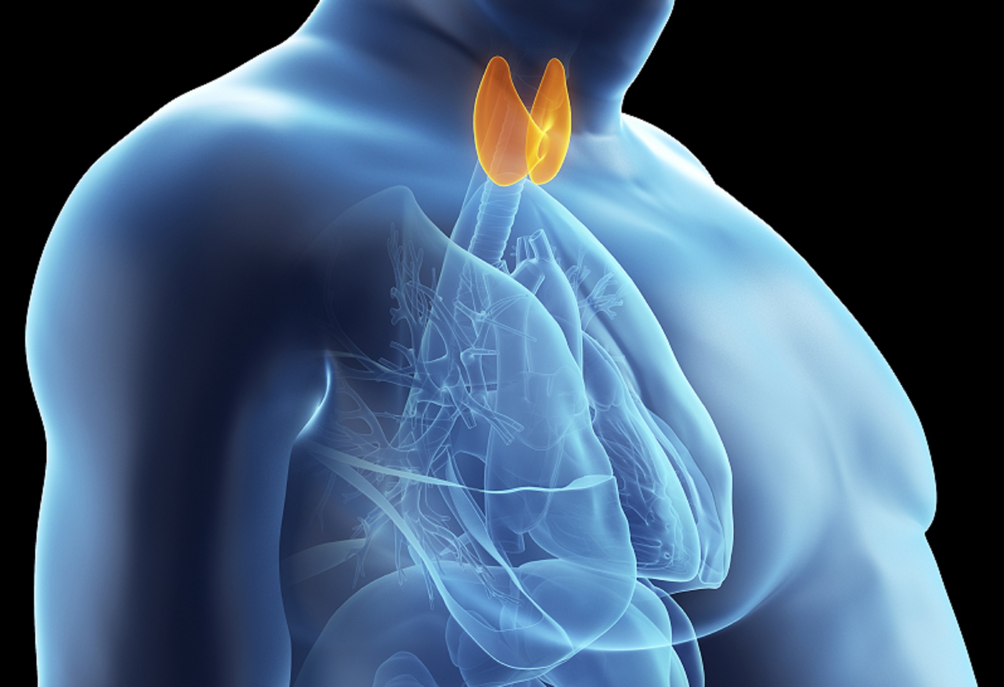 Scopri di più sull'articolo Autoanticorpi tiroidei a Sora | S-Medical